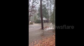 US: Heavy Rainfall Causes Flooding In Greater New Orleans, Warning Issued 2