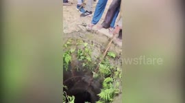 Bull hauled out of deep well in northern India