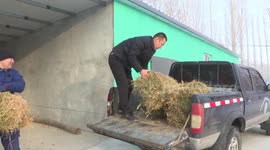 NW China nature reserve helps wildlife in winter