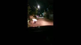 Brave driver picks up live python blocking the road