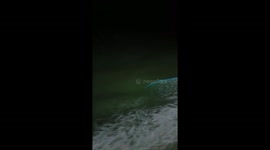 Glowing blue plankton amazes tourists on night ferry in Thailand