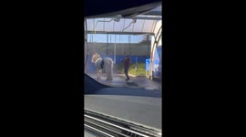 Horse Gets Hosed Off at Car Wash