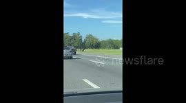 Unusual sight in Buenos Aires: high-wheeled car captured on video