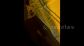 Unveiling the ice-encased windshield towel in Belfast chills