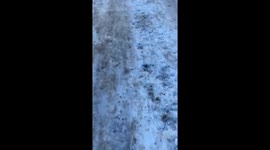 Dog chase reversal: Bârlad resident dodges canine pursuit in hilarious video