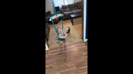 Baby Meets Cuddly Calico Kitten