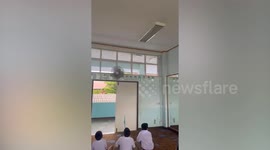 Stuck snake in school window interrupts class