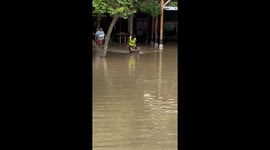 Locals float cats to safety through floods in the Philippines