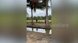 Woman tries to jump across stream and slams face on banks