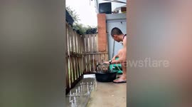 Patient cat lets owner wash him in basin