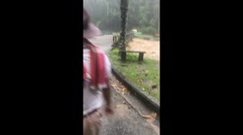Flash floods surge through mountain stream in Thailand