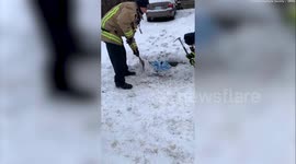 Rocky time for raccoon found stuck upside down in sewer grating