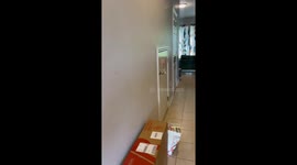 Mom delights her children with a Cat Surprise *Wholesome Reaction*