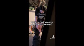 Woman gives pet pit bull voice to form hilarious 'conversation'