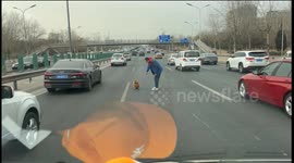 Samaritan Rescues Lost Dog on Bustling Road in Beijing, China