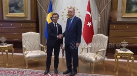 Turkish president approves ratification of Sweden's NATO membership