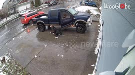 Woman breaking sheet of ice from her car's door window *Winter Troubles*