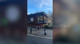 Couple's hilarious date as they take goats on a walk