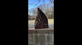 Carving enthusiast unveils the wonder hidden within the timber