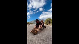 Children Play On Homemade Wood Vehicle