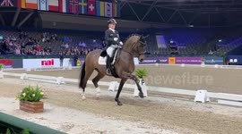 Dutch capital hosts annual horse show