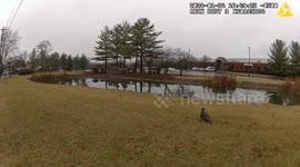 Sharonville Police Rescue Injured Hawk in Swift Operation in OH, USA