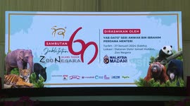 Malaysian PM says to seek stay extension of giant pandas