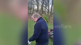 Golfer has enjoyed different type of birdie - when a parrot joined the game