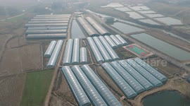 A Vegetable Greenhouse in Suizhou, China
