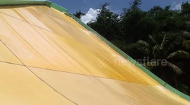 enjoying the pool slide