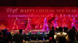 Chinese arts troupe enchants Cape Town with Spring Festival gala performance