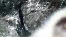 Curious wild monkey fiddles with camera trap in Thai forest