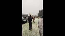 Close encounter in UK as deer almost pokes woman's eye with antlers