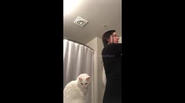 Cat becomes unimpressed hair stylist, swats owner for talking