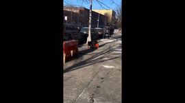 Pint-sized pooch power: Baloo the Brooklyn jogger's playful cone capture