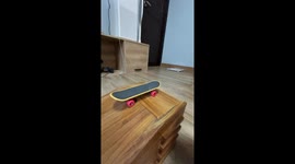 Pet parrot rides mini skateboard down homemade ramps
