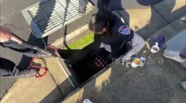 Husky Hero Axel Rescues Trapped Dog with Help from Police in Hercules, USA