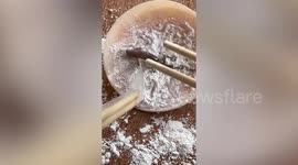 Woman rescues house lizard that landed on sticky breast pad