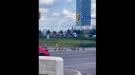 Guy Herds Family of Geese Out of Intersection