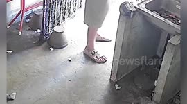 Housewife screams when snake emerges near her feet