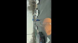 Driver rescues dog stranded on busy road in China