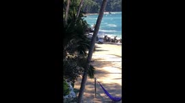 A beautiful day in Pizota, Mexico. Natural beauty of the sandy beach in front of the house. Very tranquil and relaxing.