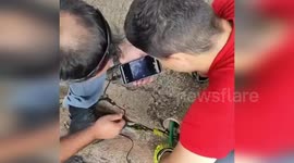 Firefighters Rescue Stranded Puppy from Drainage Pipe in Marilia, Brazil