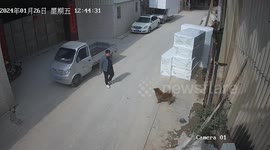 Truck veers backwards and crashes into ditch when driver forgets to pull handbrake
