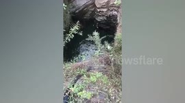 Indian bison hauled out of 50-metre-deep well by rescue team