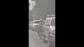 Cyclist seen carrying two pet dogs on the front of bike