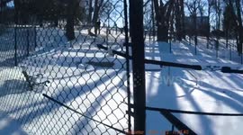 Police Officers Rescue Deer Entangled in Hammock in Sioux City, USA