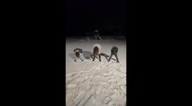 Family in hysterics as they freeze their hair upwards in subzero temperatures