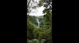 Experience this breathtaking waterfall in the Philippines