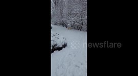 US: Low-Pressure System Moves Into Michigan, Bringing Inches Of Snow To Detroit 2